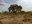 Burkina.JPG